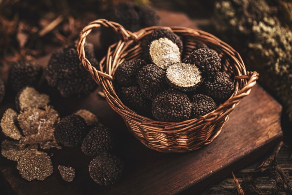 Il tartufo nero di Roccafluvione